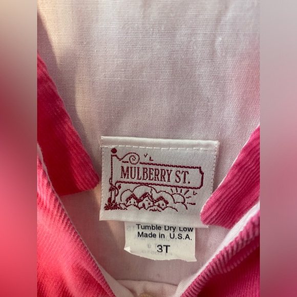 Mulberry St Pink and Zebra Print Corduroy Smocked Dress Size 3T - Picture 4 of 4